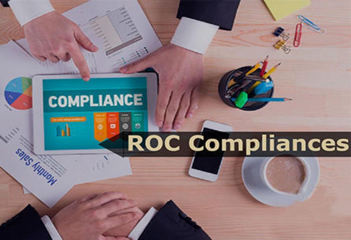 Annual Filings - Annual Report and Return