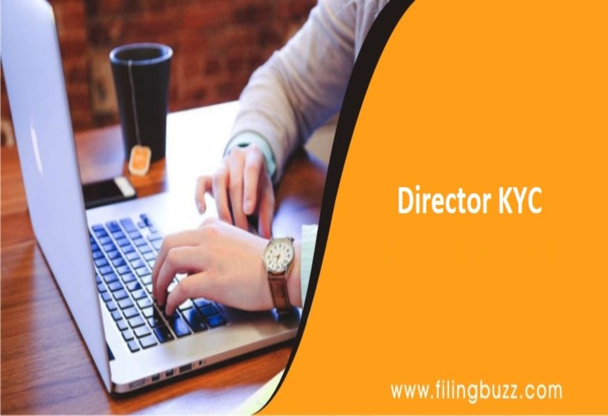 Director KYC & DIN Filings